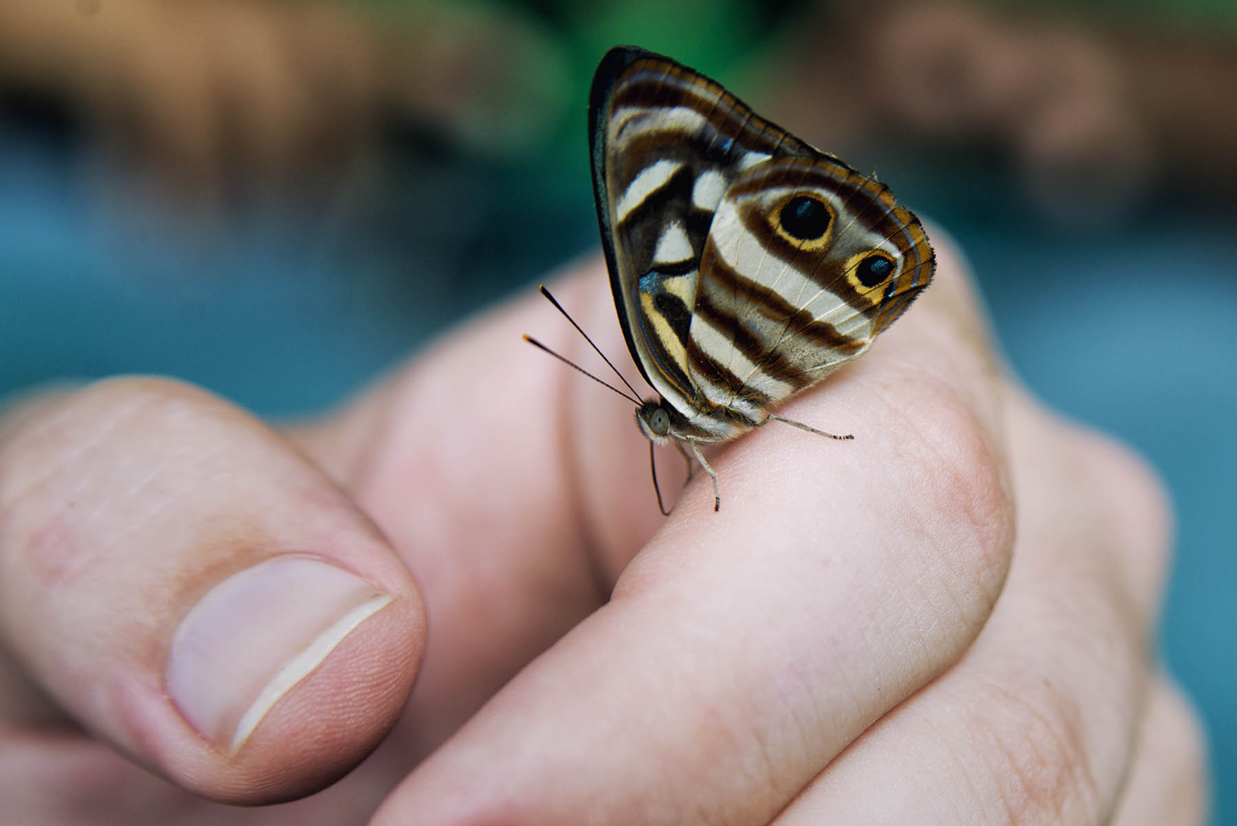 Costa Rica