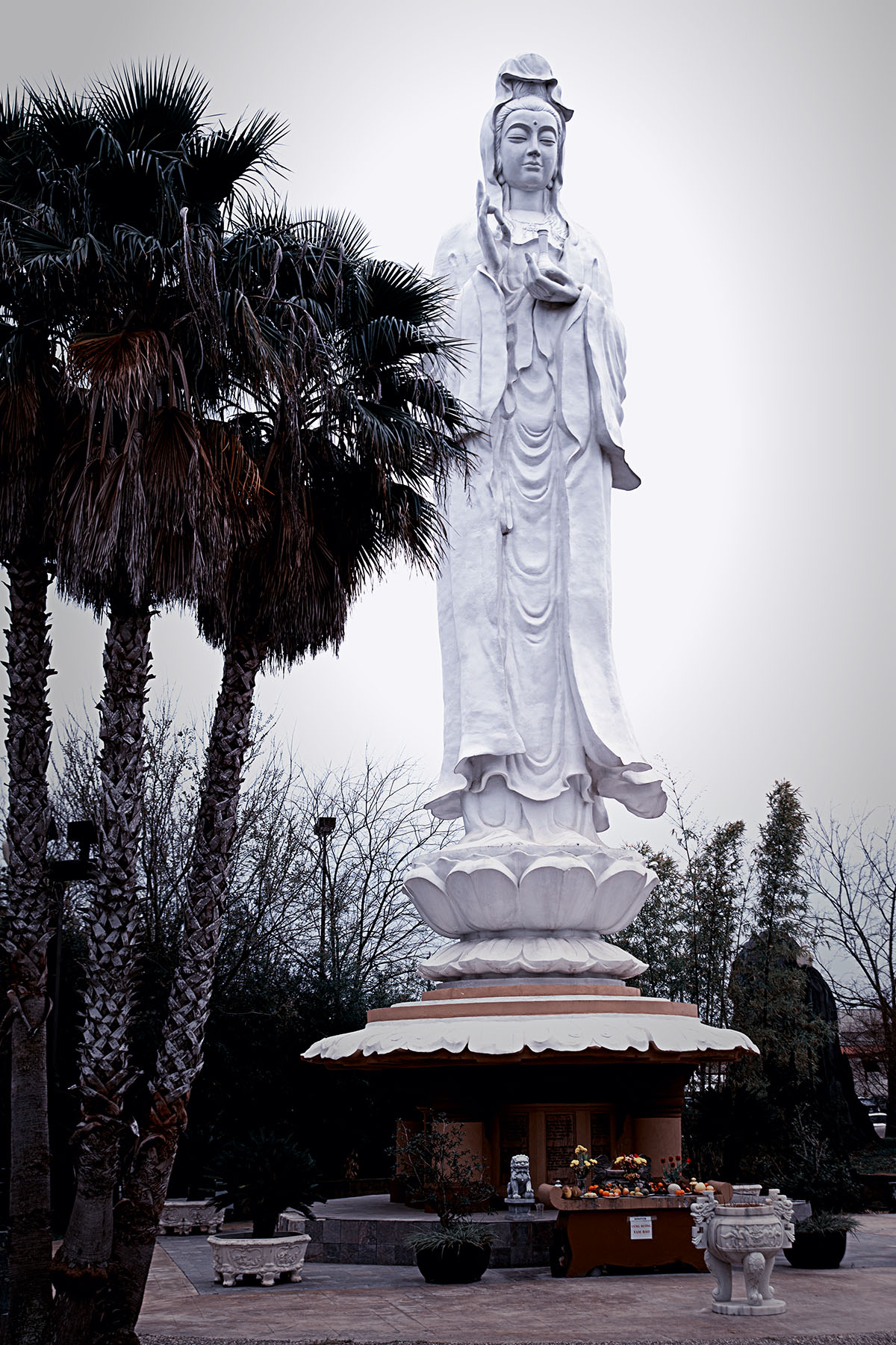 Houston Temples