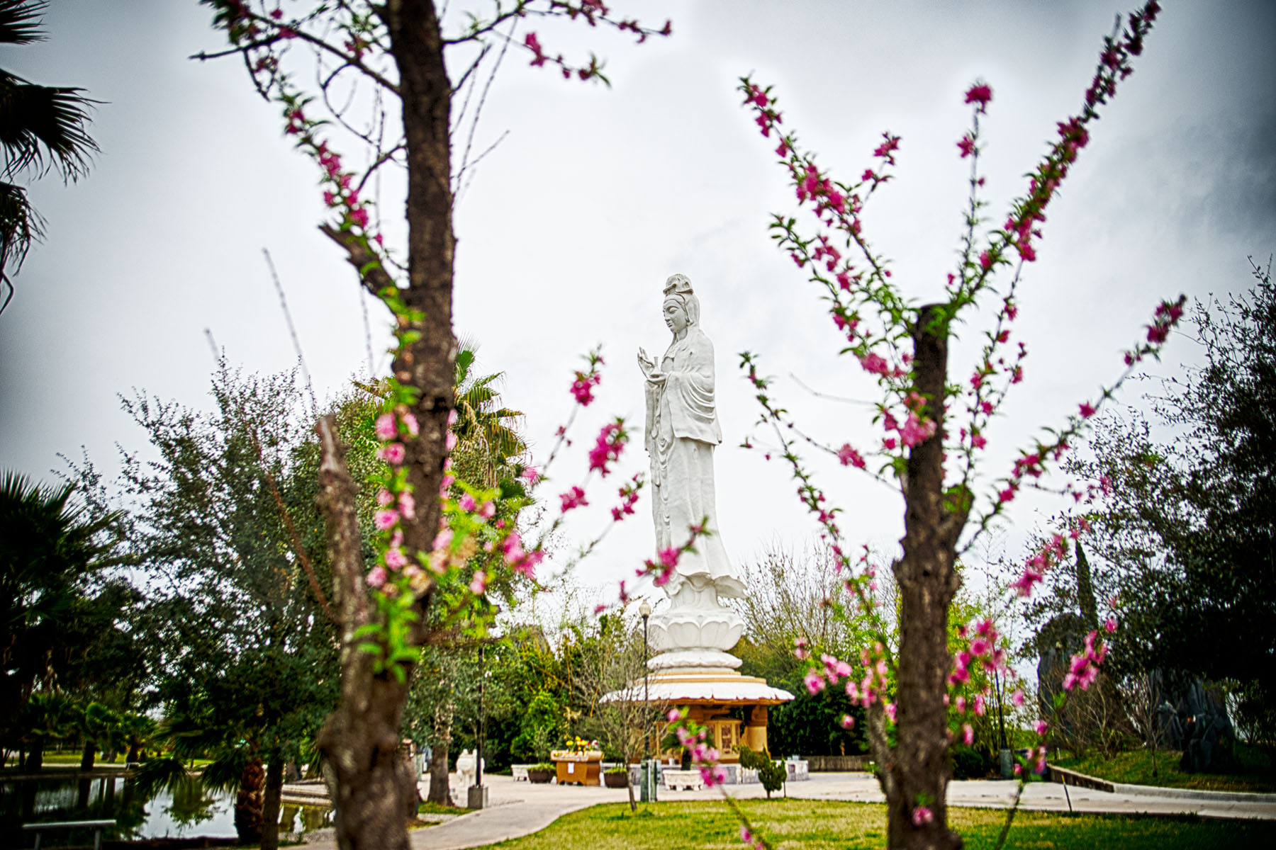 Houston Temples