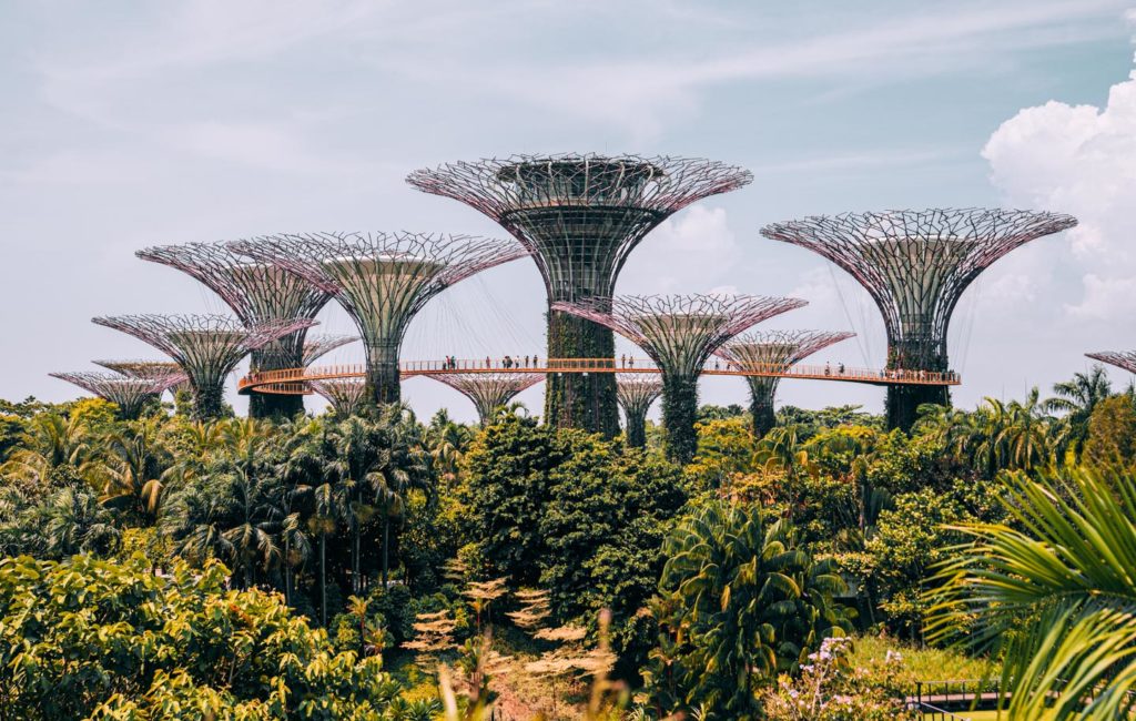 Gardens by the Bay (Singapore)